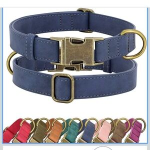 Didog Leather Dog Collar Metal Buckle Adjustable Pet Puppy Neck Strap Medium